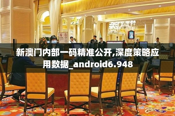 新澳门内部一码精准公开,深度策略应用数据_android6.948