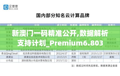 新澳门一码精准公开,数据解析支持计划_Premium6.803