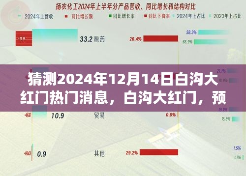 白沟大红门预测，揭秘2024年12月14日热门焦点