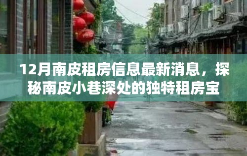 南皮小巷深处的租房宝藏揭秘，最新房源情报与特色小店周边探秘