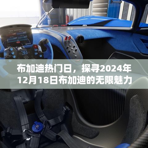 布加迪热门日探秘，布加迪的无限魅力之旅，2024年12月18日独家体验