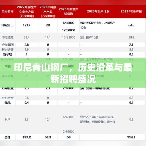 印尼青山钢厂，历史沿革及最新招聘盛况概览