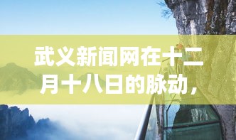 2024年12月22日 第14页