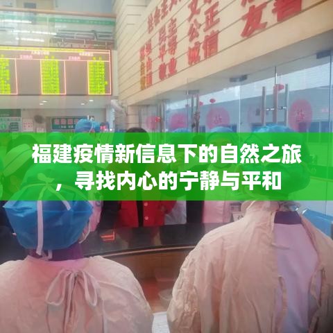 福建疫情新态势下的自然之旅，探寻内心宁静与平和之道