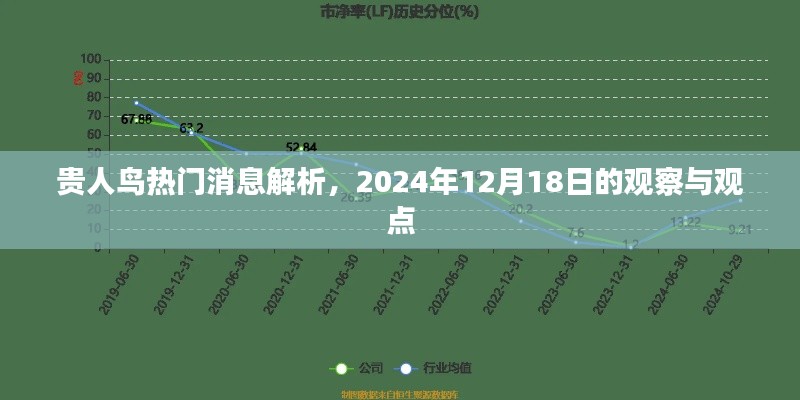 贵人鸟最新动态解析，观察与观点报告于2024年12月18日发布