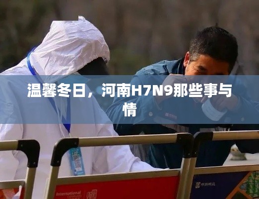 河南H7N9疫情下的冬日温情