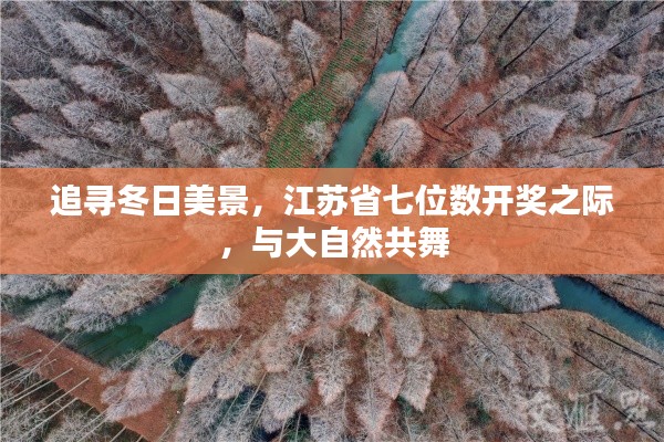 江苏省七位数开奖之际，追寻冬日美景与大自然共舞盛宴