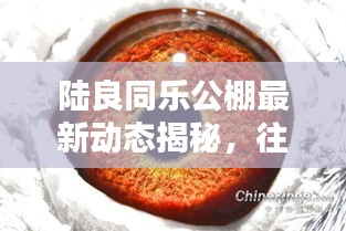 陆良同乐公棚往年12月22日精彩瞬间揭秘最新动态