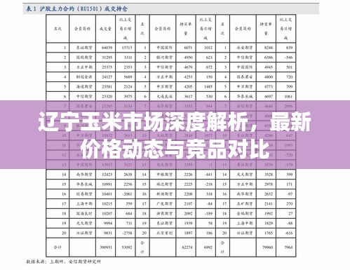 辽宁玉米市场深度解析，最新价格动态与竞品对比报告