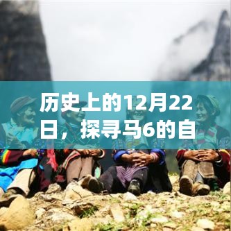 探寻马的自然秘境，启程心灵之旅的12月22日历史之旅