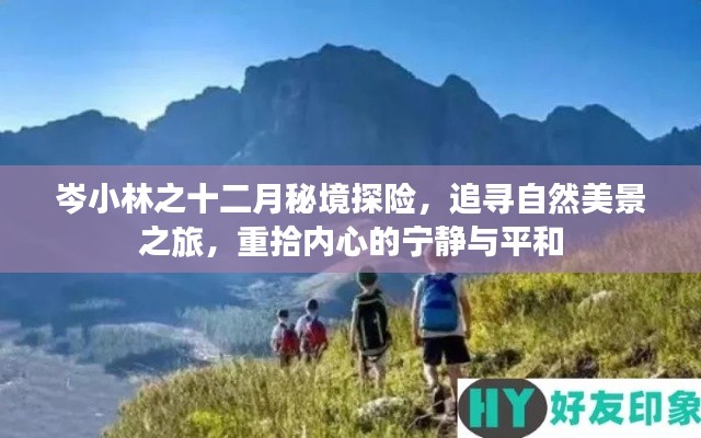 岑小林十二月秘境探险，追寻自然美景，重拾内心宁静与平和之旅