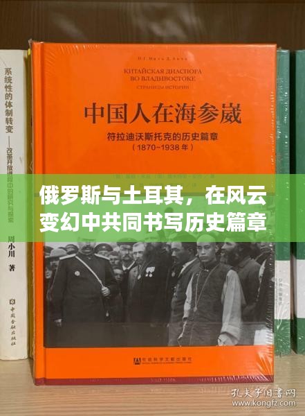 俄罗斯与土耳其，风云交汇下的历史篇章——以XXXX年12月22日为中心的观察