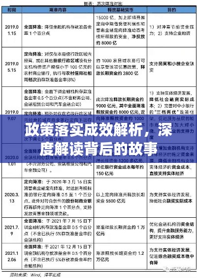 政策落实成效解析，深度解读背后的故事