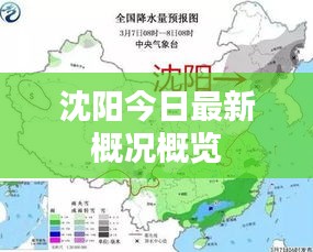 沈阳今日最新概况概览