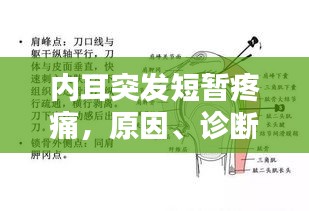 内耳突发短暂疼痛，原因、诊断、治疗方法全解析