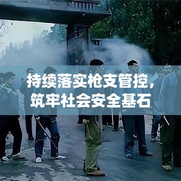 持续落实枪支管控，筑牢社会安全基石