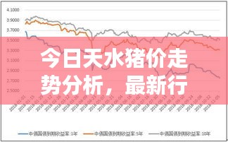 今日天水猪价走势分析，最新行情速览