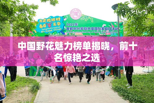 中国野花魅力榜单揭晓，前十名惊艳之选