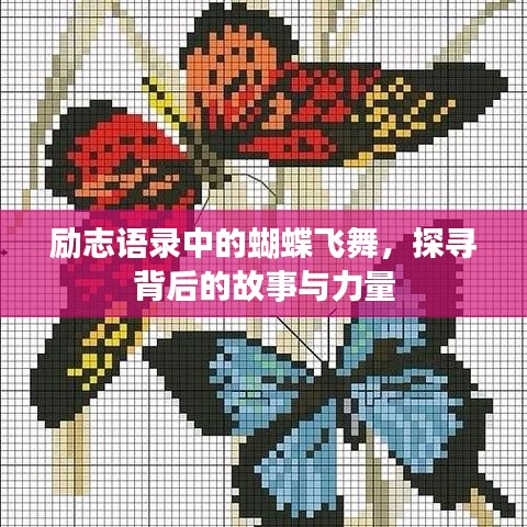 励志语录中的蝴蝶飞舞，探寻背后的故事与力量