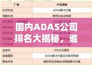 国内ADAS公司排名大揭秘，谁是行业领军？