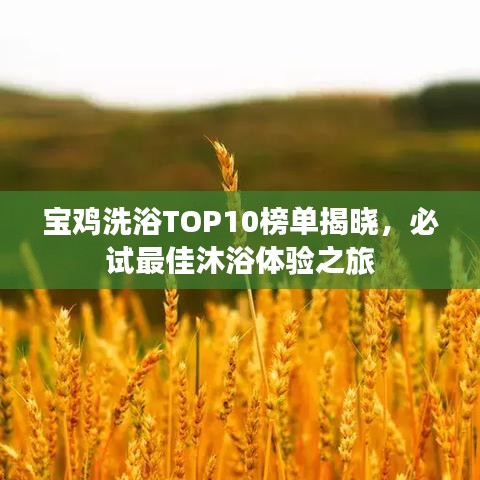 宝鸡洗浴TOP10榜单揭晓，必试最佳沐浴体验之旅