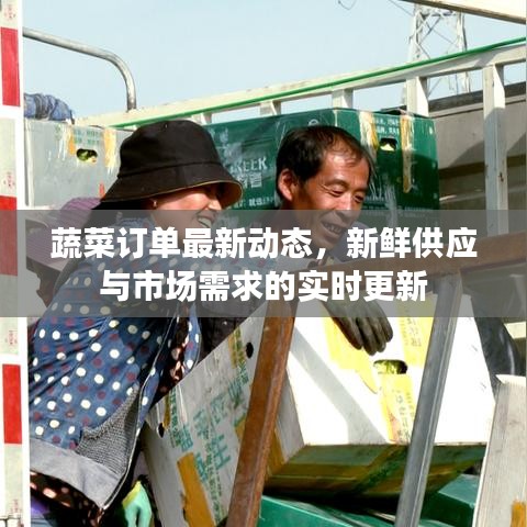 蔬菜订单最新动态，新鲜供应与市场需求的实时更新