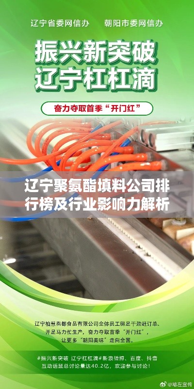 辽宁聚氨酯填料公司排行榜及行业影响力解析