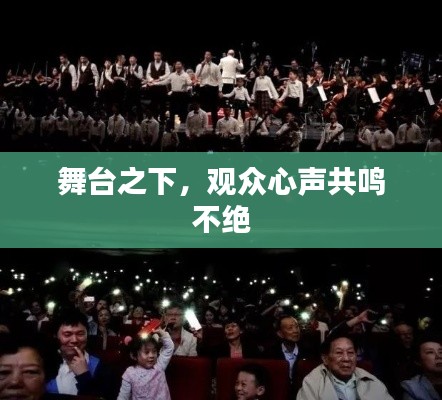 舞台之下，观众心声共鸣不绝