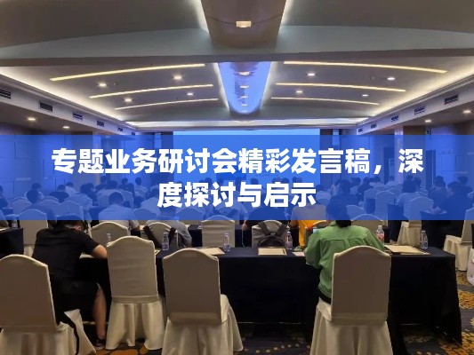专题业务研讨会精彩发言稿，深度探讨与启示