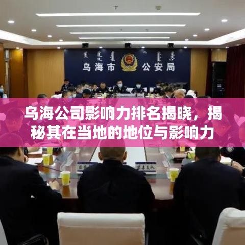 乌海公司影响力排名揭晓，揭秘其在当地的地位与影响力