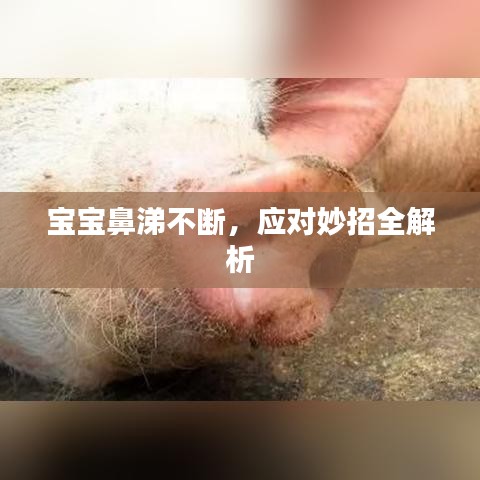 宝宝鼻涕不断，应对妙招全解析