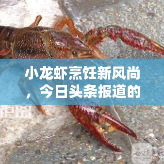 小龙虾烹饪新风尚，今日头条报道的独家口味与烹饪技巧揭秘