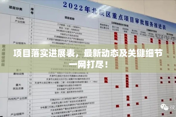 项目落实进展表，最新动态及关键细节一网打尽！