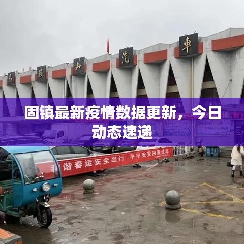 固镇最新疫情数据更新，今日动态速递