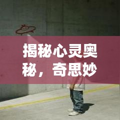 揭秘心灵奥秘，奇思妙想大探索