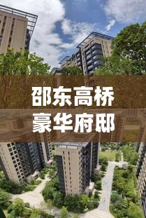 乌鸟私情