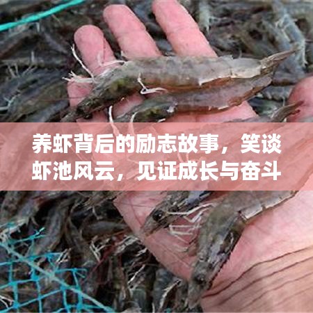 夫妻本是同