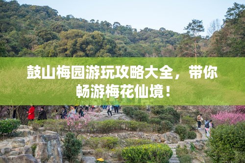 鼓山梅园游玩攻略大全，带你畅游梅花仙境！