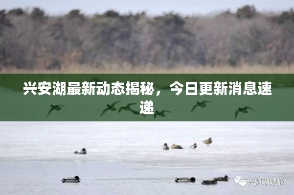 鸟语蝉鸣