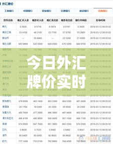秀外慧中