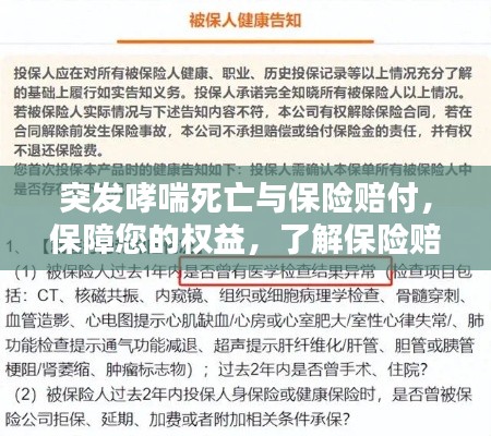 屈指可数