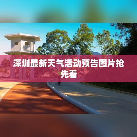 销声匿迹