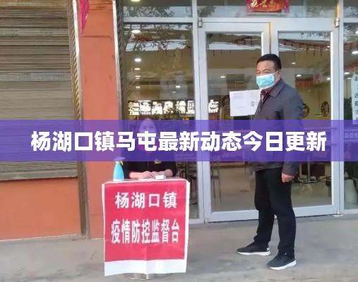 凤凰于飞