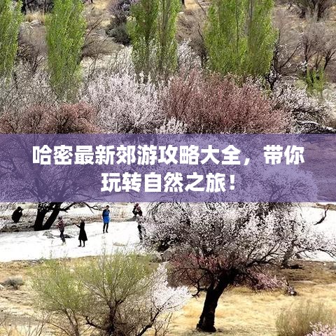 还淳返朴