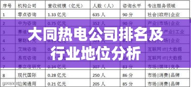 大同热电公司排名及行业地位分析