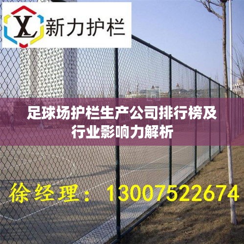 足球场护栏生产公司排行榜及行业影响力解析