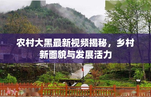 农村大黑最新视频揭秘，乡村新面貌与发展活力