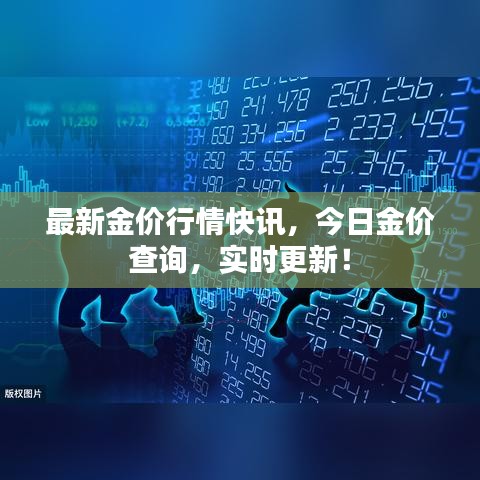最新金价行情快讯，今日金价查询，实时更新！