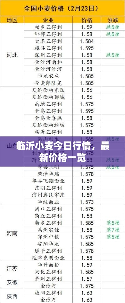 2025年5月29日 第3页
