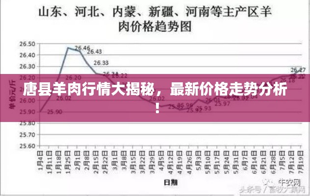 唐县羊肉行情大揭秘，最新价格走势分析！